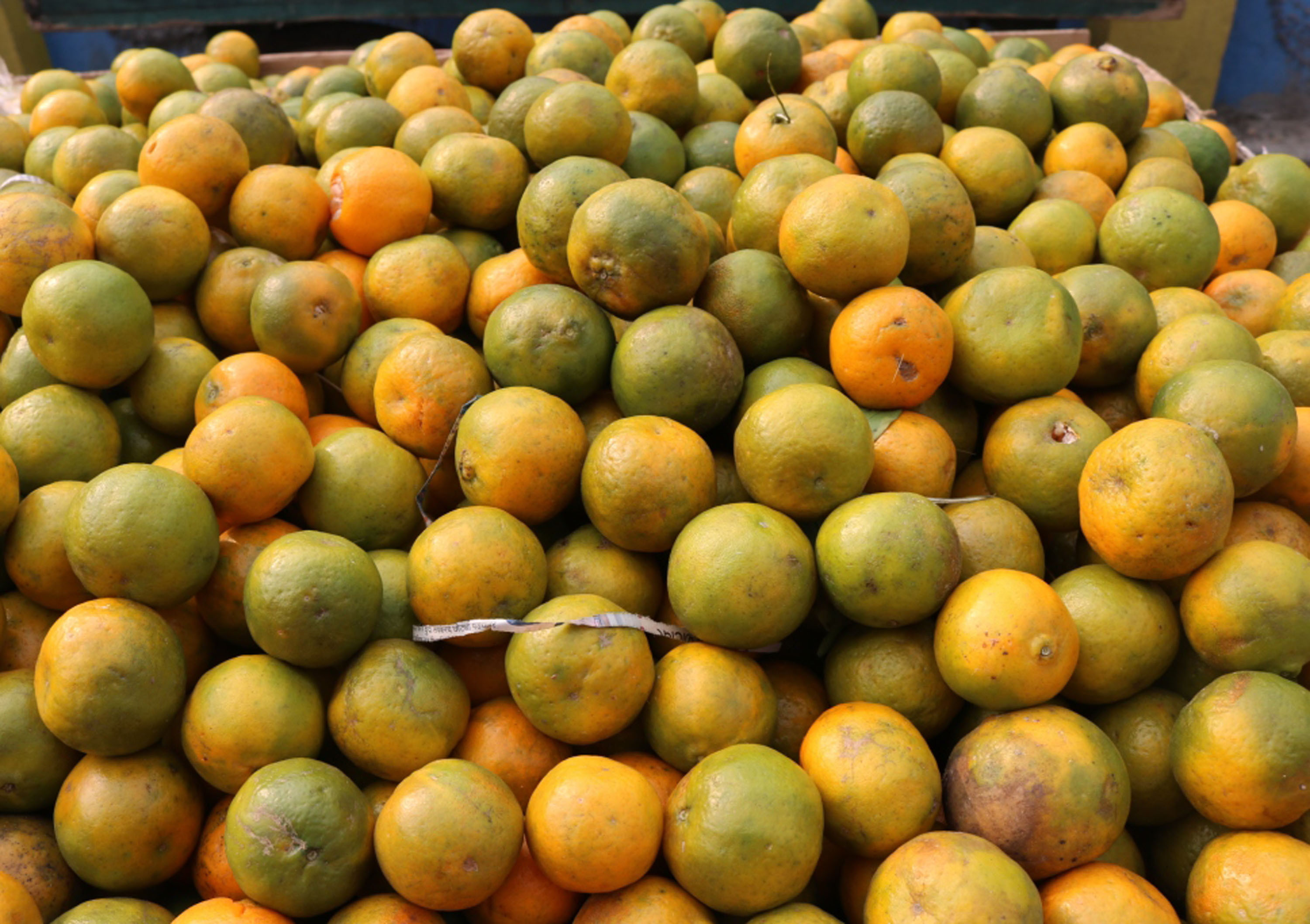 फाइल तस्बिर