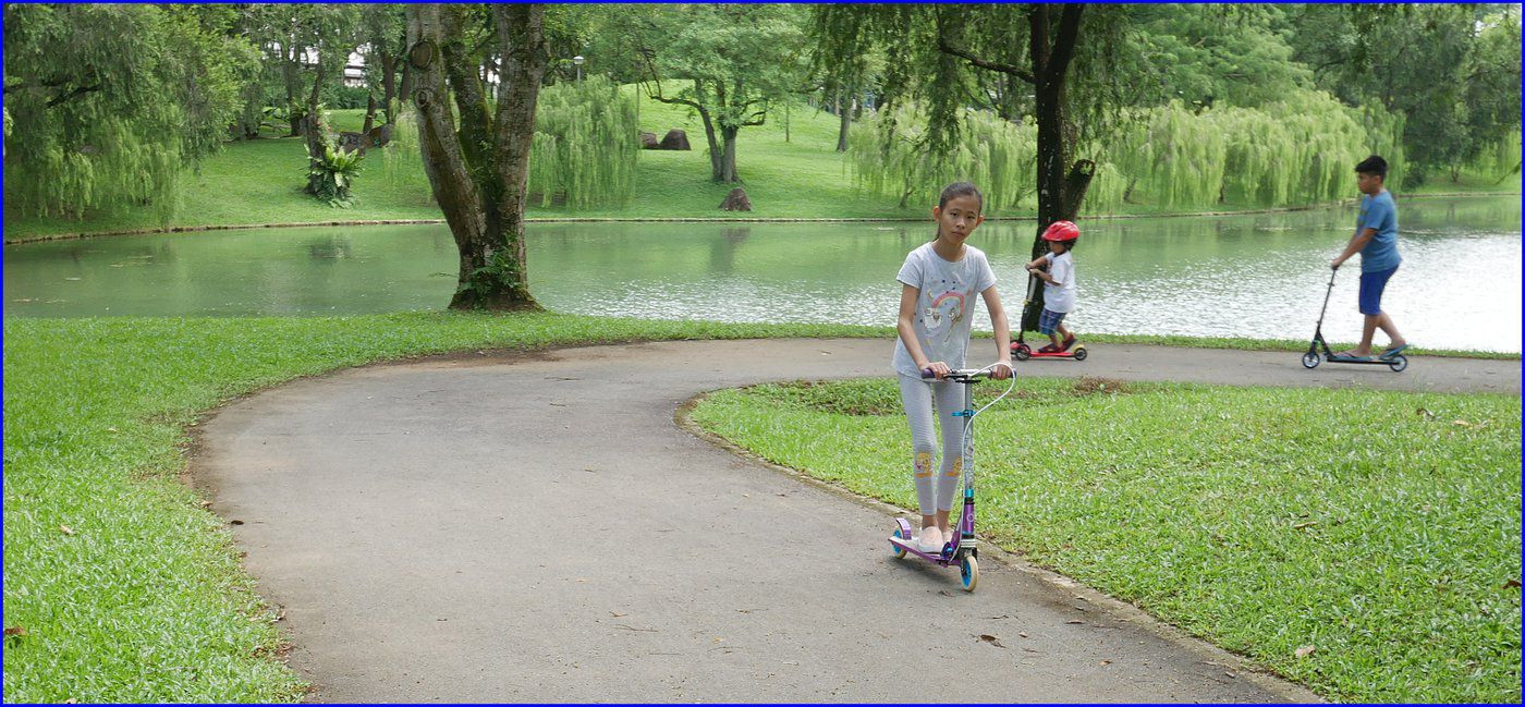 Access to nature in childhood is associated with a reduced risk of mental illness (George Tan (Flickr)