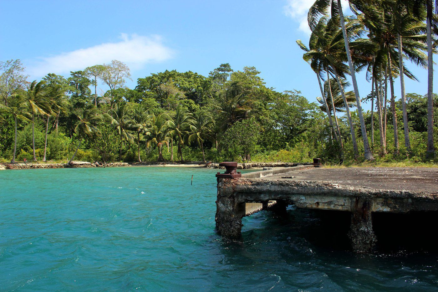 People of Chinese heritage have been a presence across the Pacific Islands for over 200 years. (Jenny Scott, Flickr)