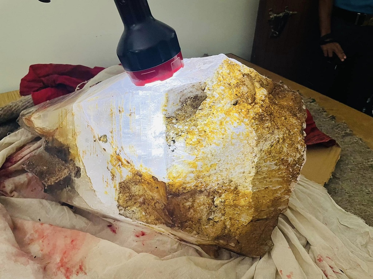 स्थानीय चन्द्रमान र राममाया शाहीको घरबाट बरामद गरेर जिल्ला प्रहरी कार्यालय गोरखामा राखिएको चम्किलो ढुंगा।