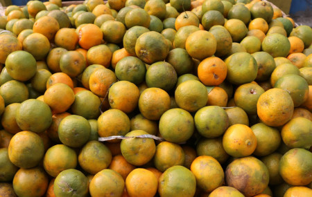 फाइल तस्बिर