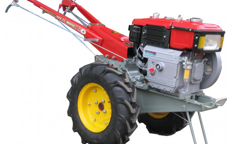 फाइल तस्बिर।