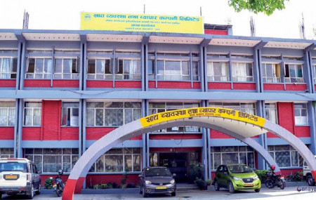 फाइल तस्बिर।