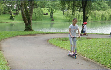 Access to nature in childhood is associated with a reduced risk of mental illness (George Tan (Flickr)