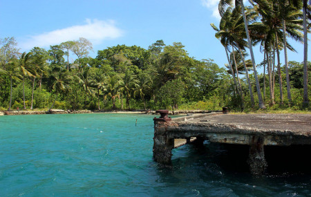 People of Chinese heritage have been a presence across the Pacific Islands for over 200 years. (Jenny Scott, Flickr)