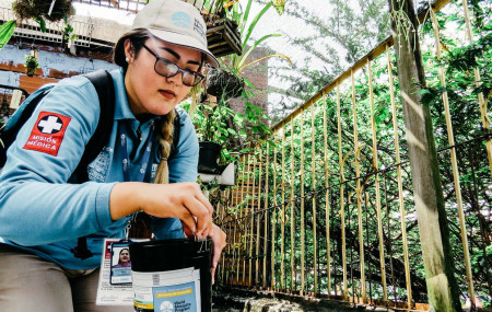 The team at World Mosquito Program breeds the Wolbachia-carrying mosquitoes and releases them to areas affected by mosquito-borne diseases. (World Mosquito Program)