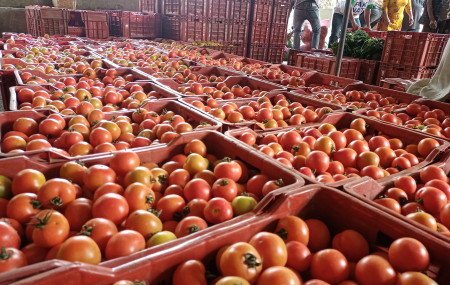 तस्बिर: पार्वती बस्नेत।