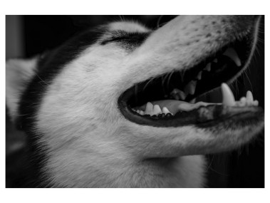 Photo by Dicky Jiang on Unsplash