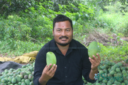 शंकर नेपाली