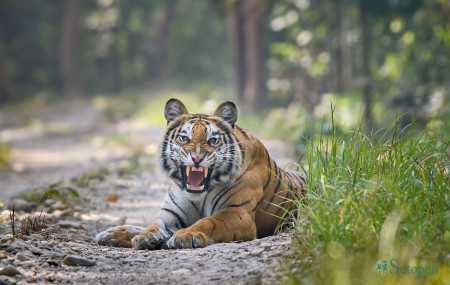 फाइल तस्बिर: दिपक राजबंशी