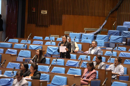 फाइल तस्बिर।