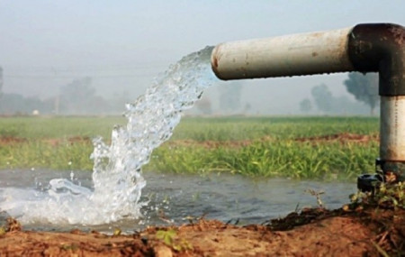 प्रतीकात्मक तस्बिर