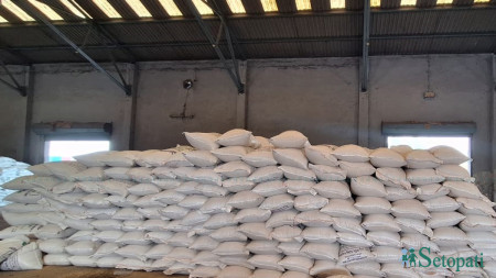 फाइल तस्बिर।