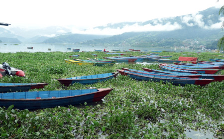 तस्बिरः राधिका कँडेल/रासस