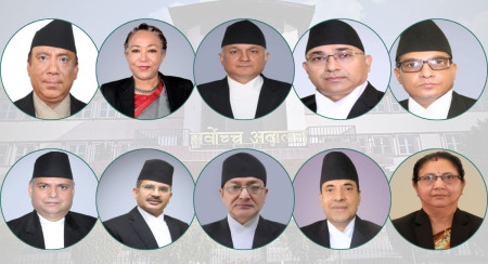 माथिल्लो लहर बायाँबाट क्रमशः प्रधानन्यायाधीश प्रकाशमान सिंह राउत, न्यायाधीशहरू; सपना प्रधान मल्ल, कुमार रेग्मी, हरि प्रसाद फुयाल, मनोजकुमार शर्मा, कुमार चुडाल, नहकुल सुवेदी, तिलप्रसाद श्रेष्ठ, विनोद शर्मा र शारंगा सुवेदी।