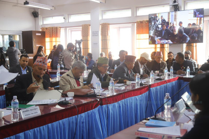 तस्बिर: निशा भण्डारी