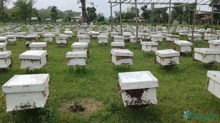 फाइल तस्बिर