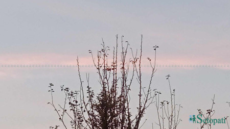 फाइल तस्बिर।