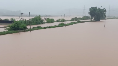 फाइल तस्बिर