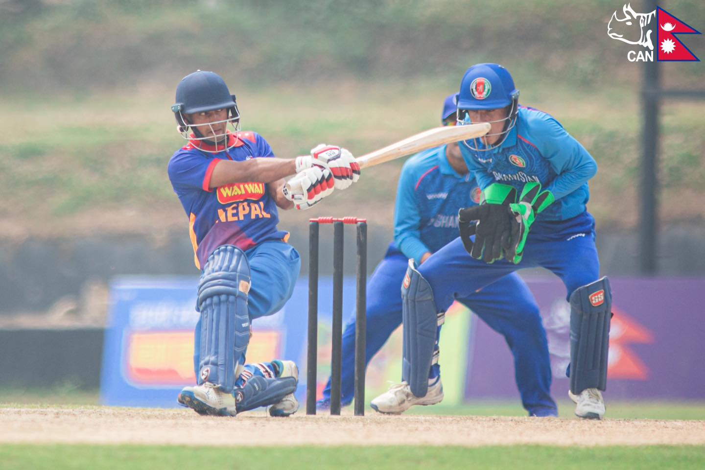 फाइल तस्बिर।