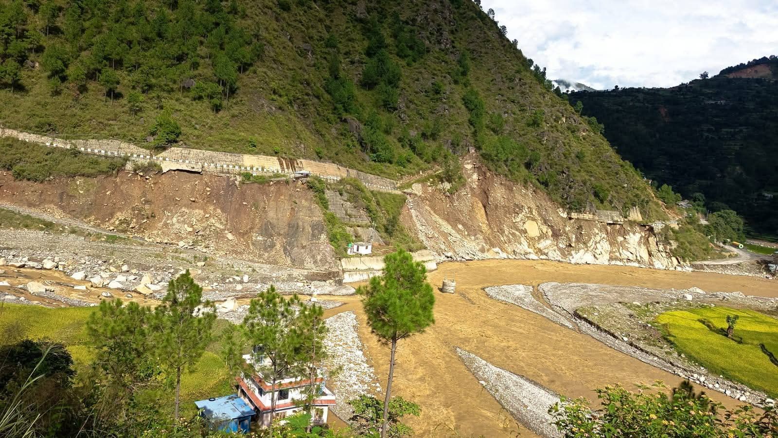 रोशीले कटान गरेको चौकीडाँडा खण्ड। तस्बिरः उज्ज्वल न्यौपाने।