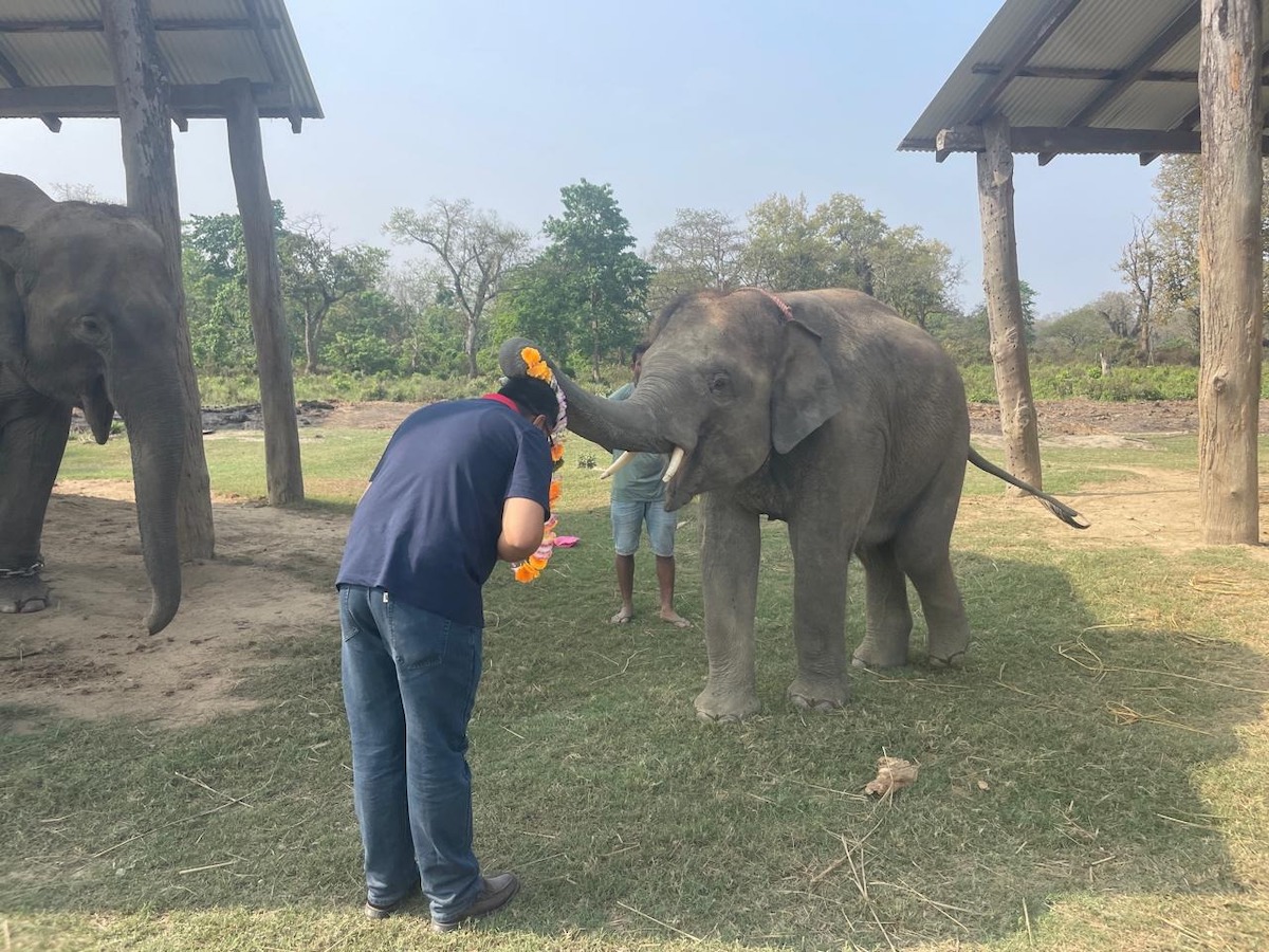 'खगेन्द्रप्रसाद' नामको हात्ती। तस्बिर: राजेश घिमिरे/सेतोपाटी