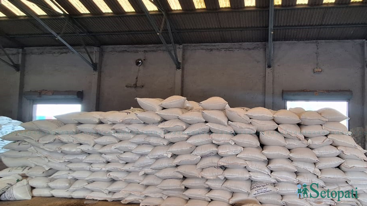 फाइल तस्बिर।