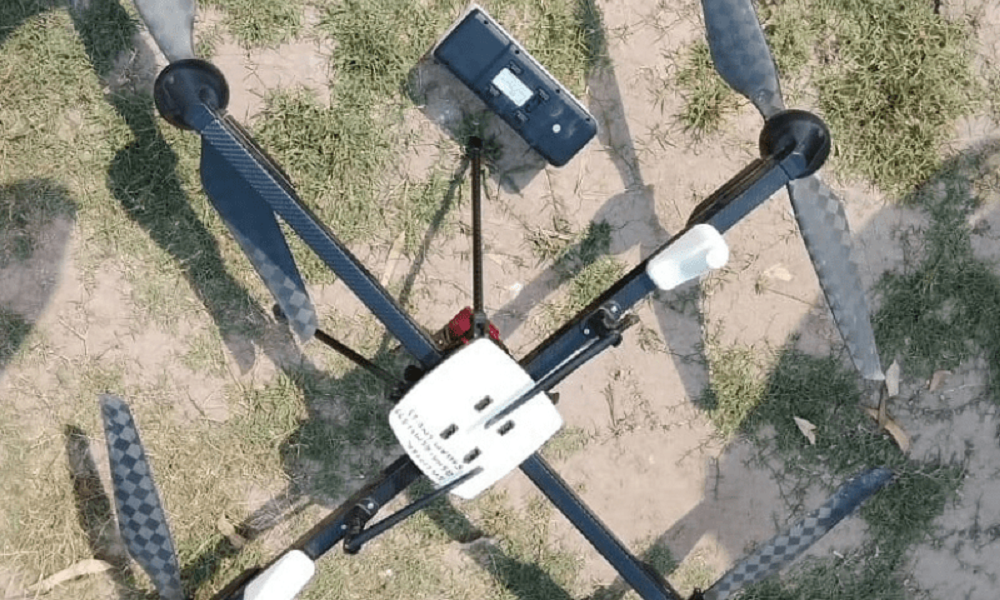 तस्बिर: द डन