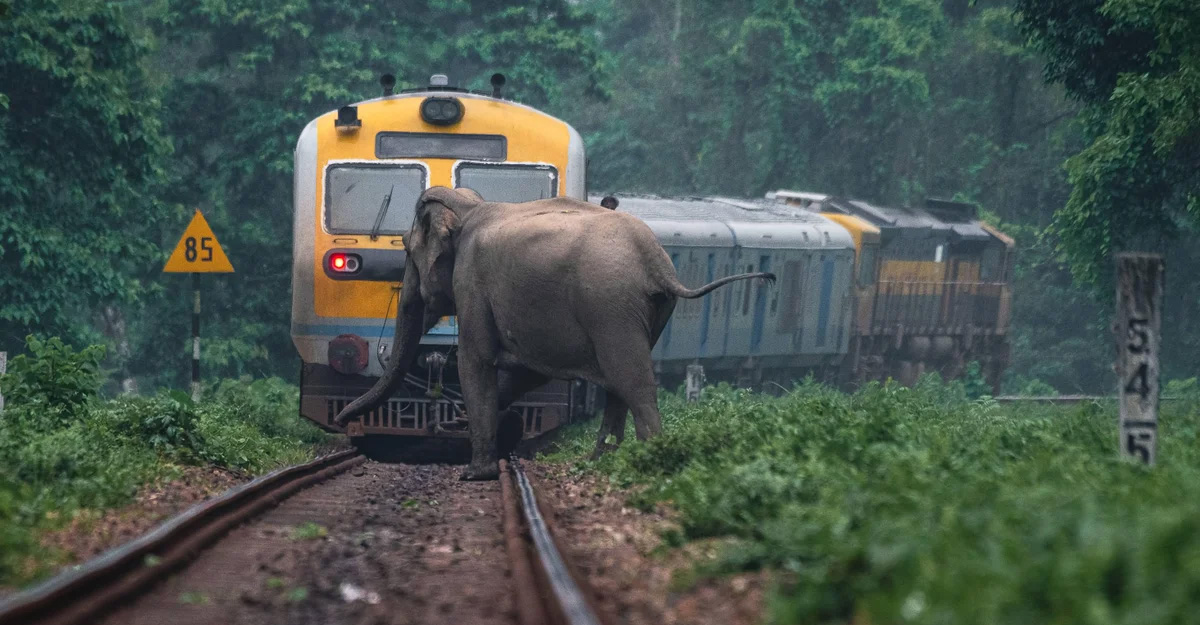 फाइल तस्बिरः  द गार्डियन।