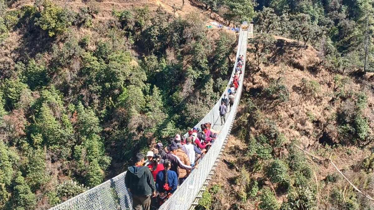 फाइल तस्बिर।