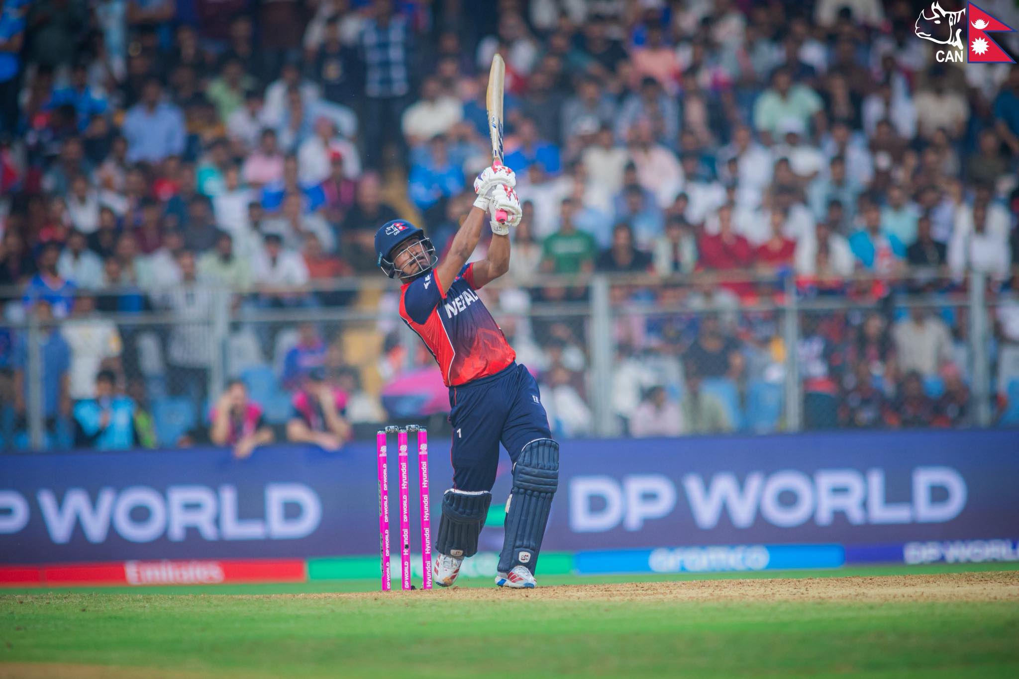 फाइल तस्बिर।