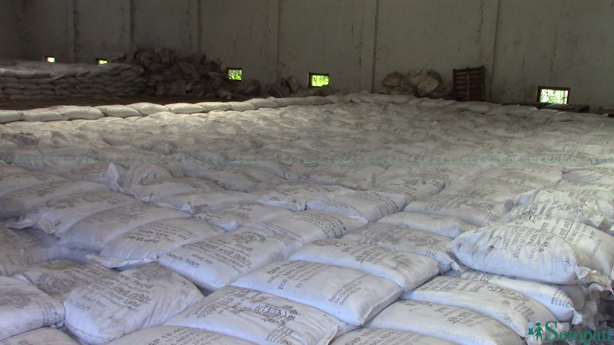 फाइल तस्बिर