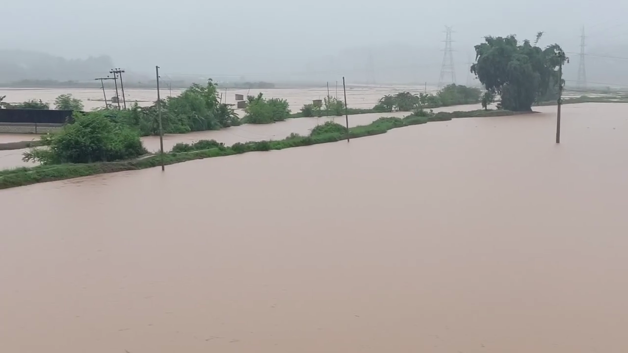 फाइल तस्बिर