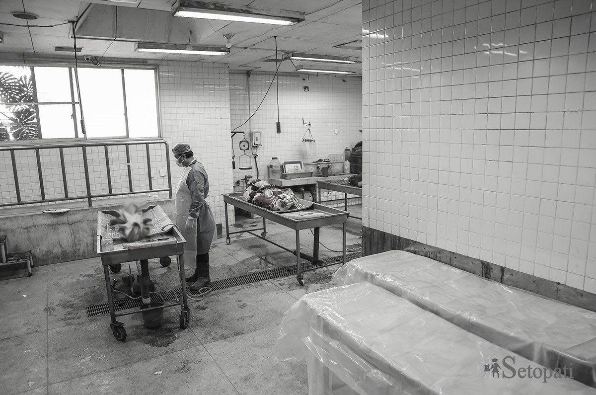 टिचिङ अस्पतालको पोस्टमर्टम कक्षमा डाक्टर गोपाल चौधरी। तस्बिरः नवीनबाबु गुरूङ/सेतोपाटी