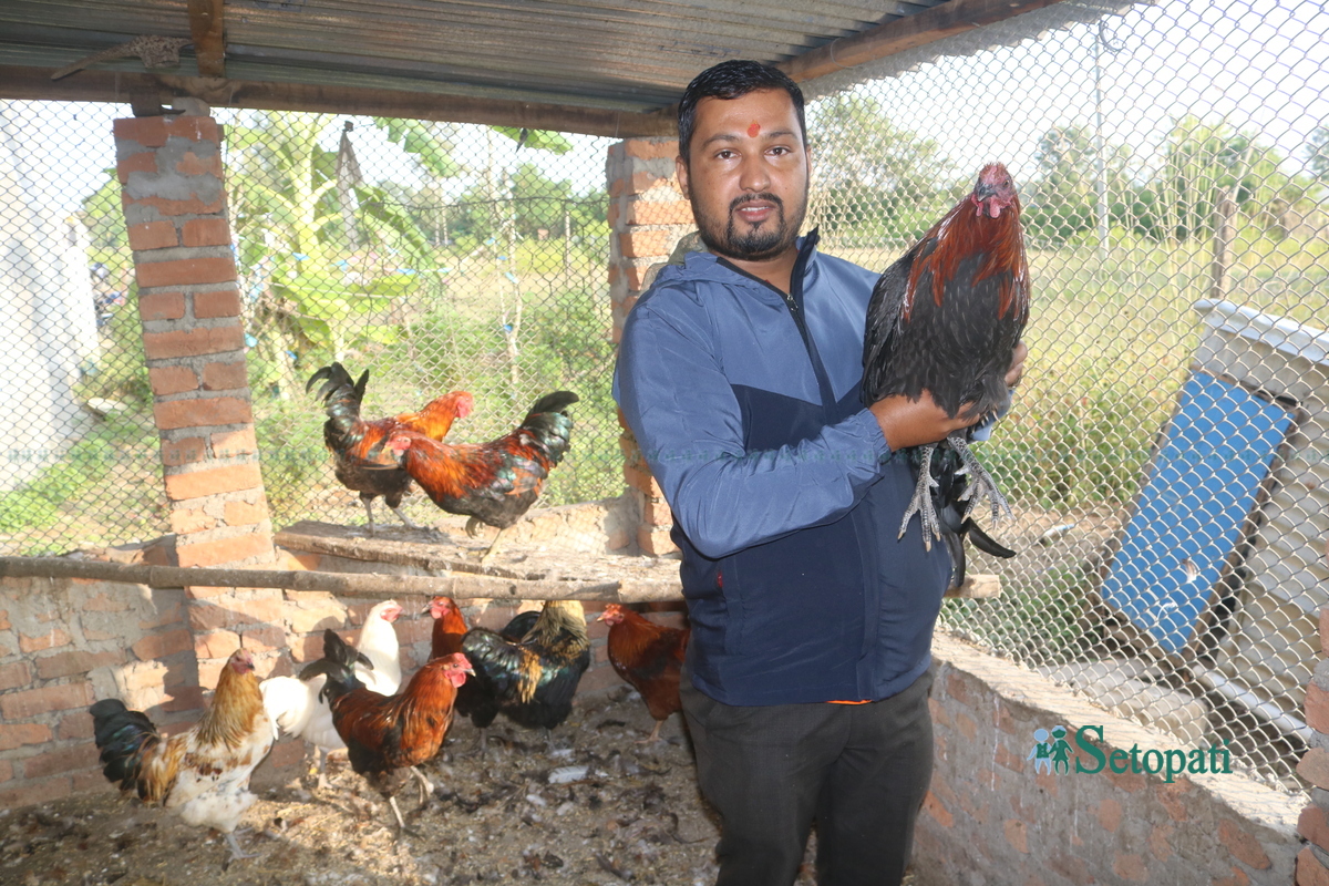 राजन लामिछाने