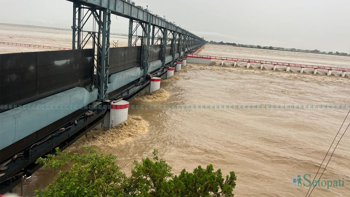 प्रतिकात्मक तस्बिर
