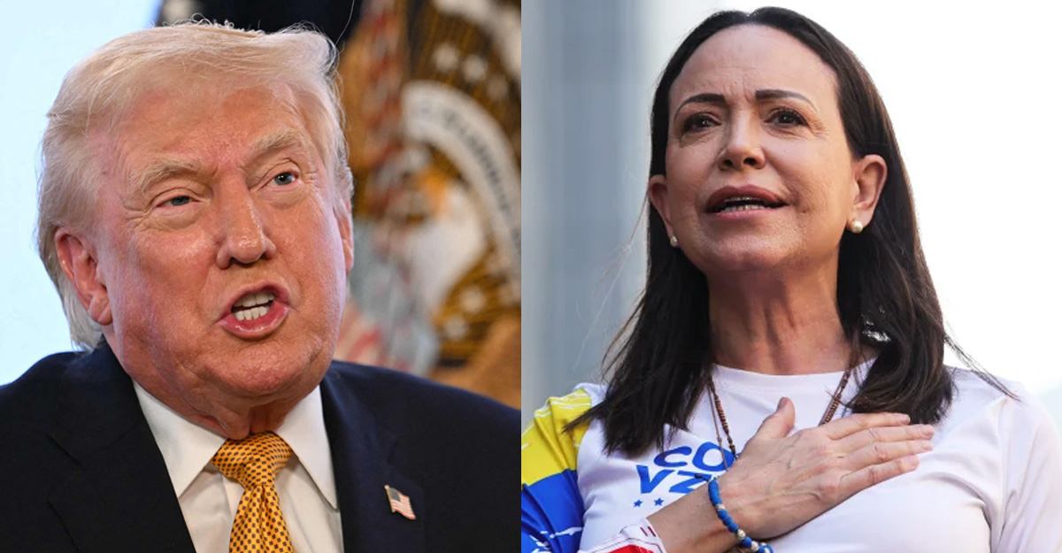 फाइल तस्बिर।